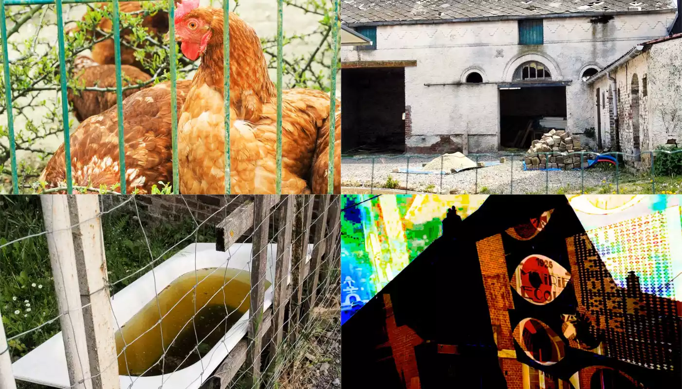 captures d’écran de la vidéo