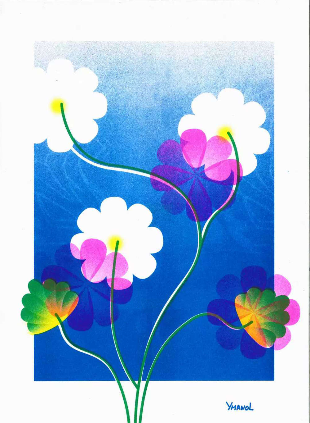 impression riso bouquet de fleur rose