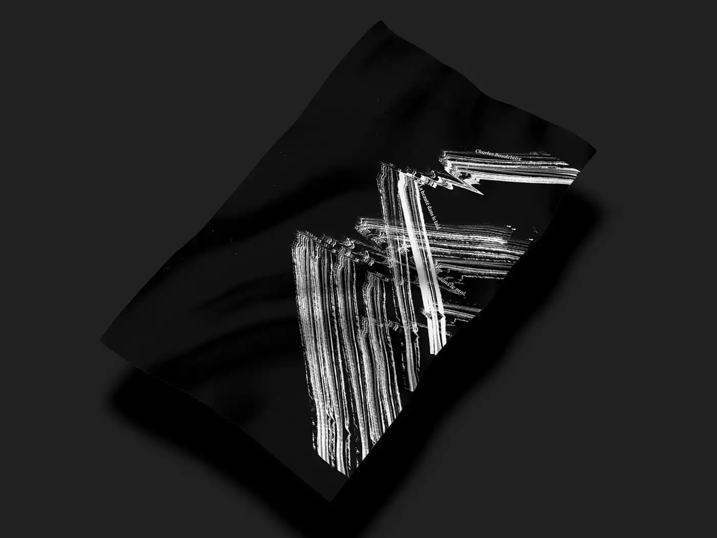 photo poster fleur du mal