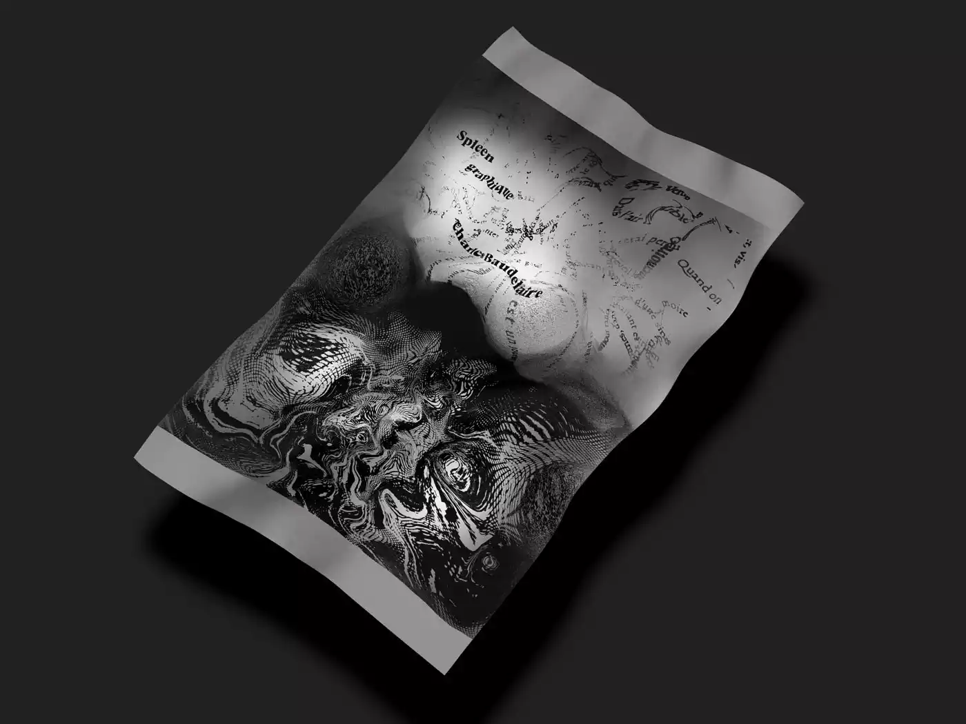 photo poster fleur du mal