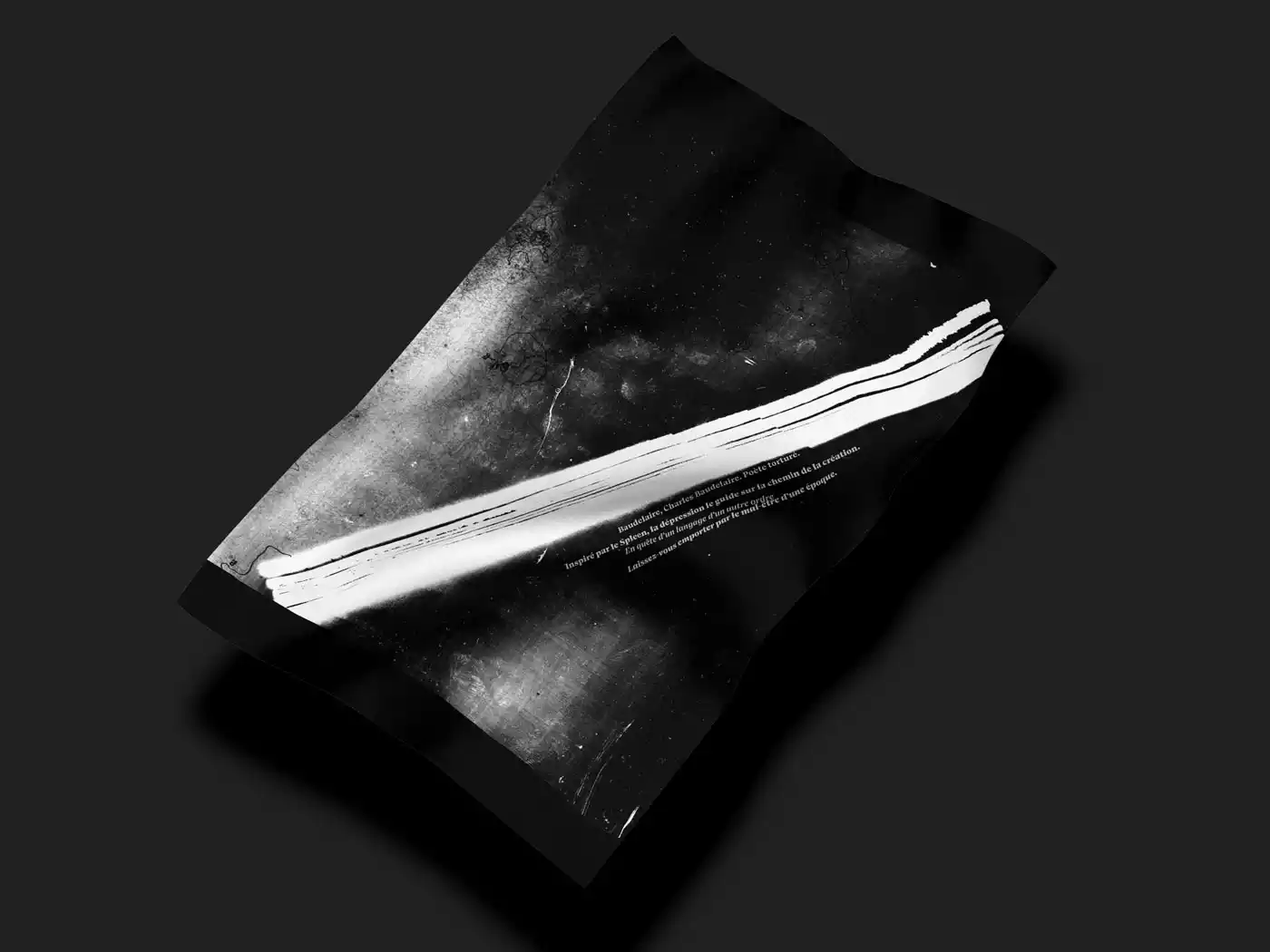 photo poster fleur du mal