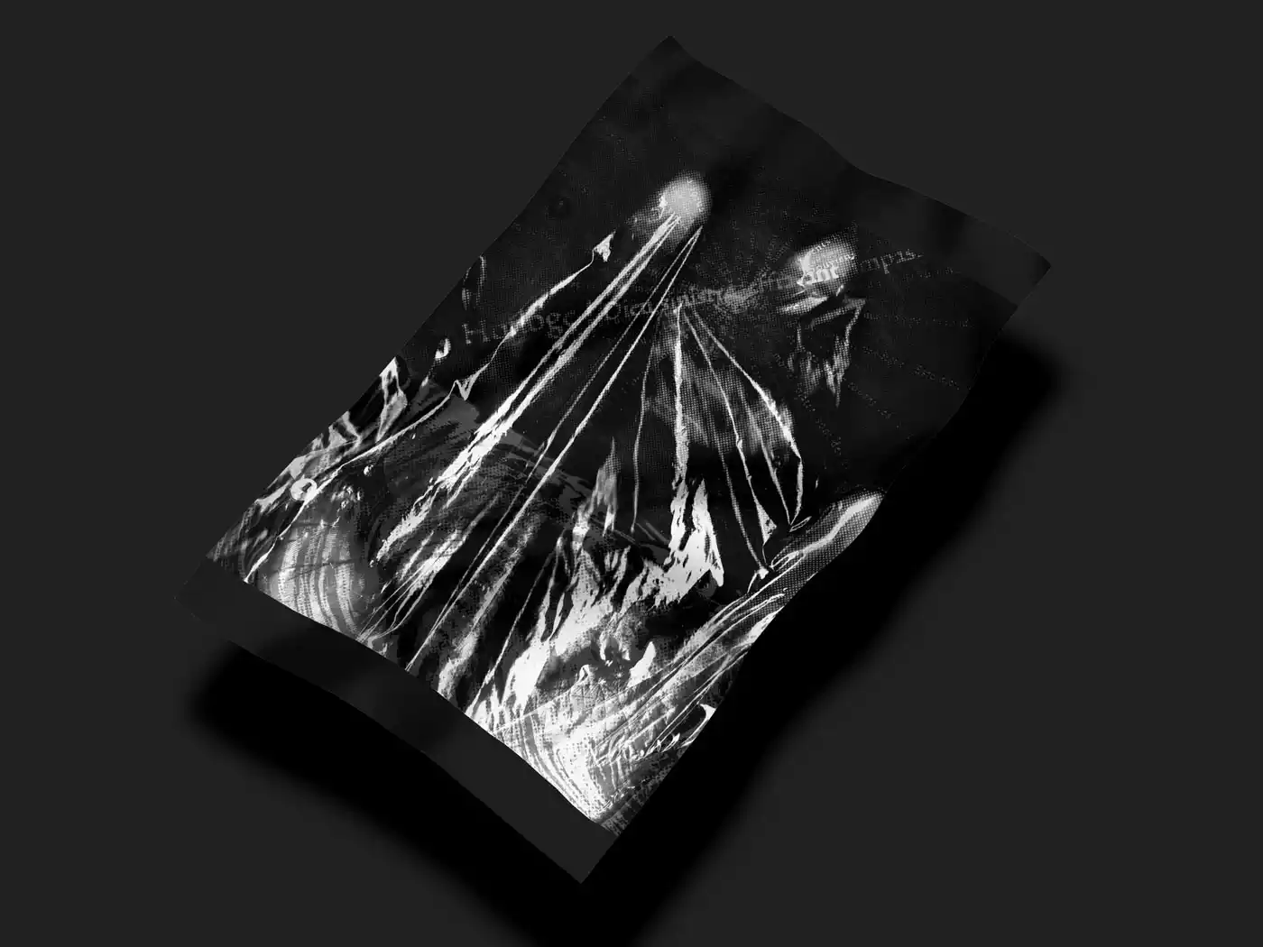 photo poster fleur du mal