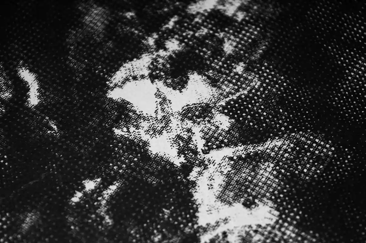 détail de la sérigraphie